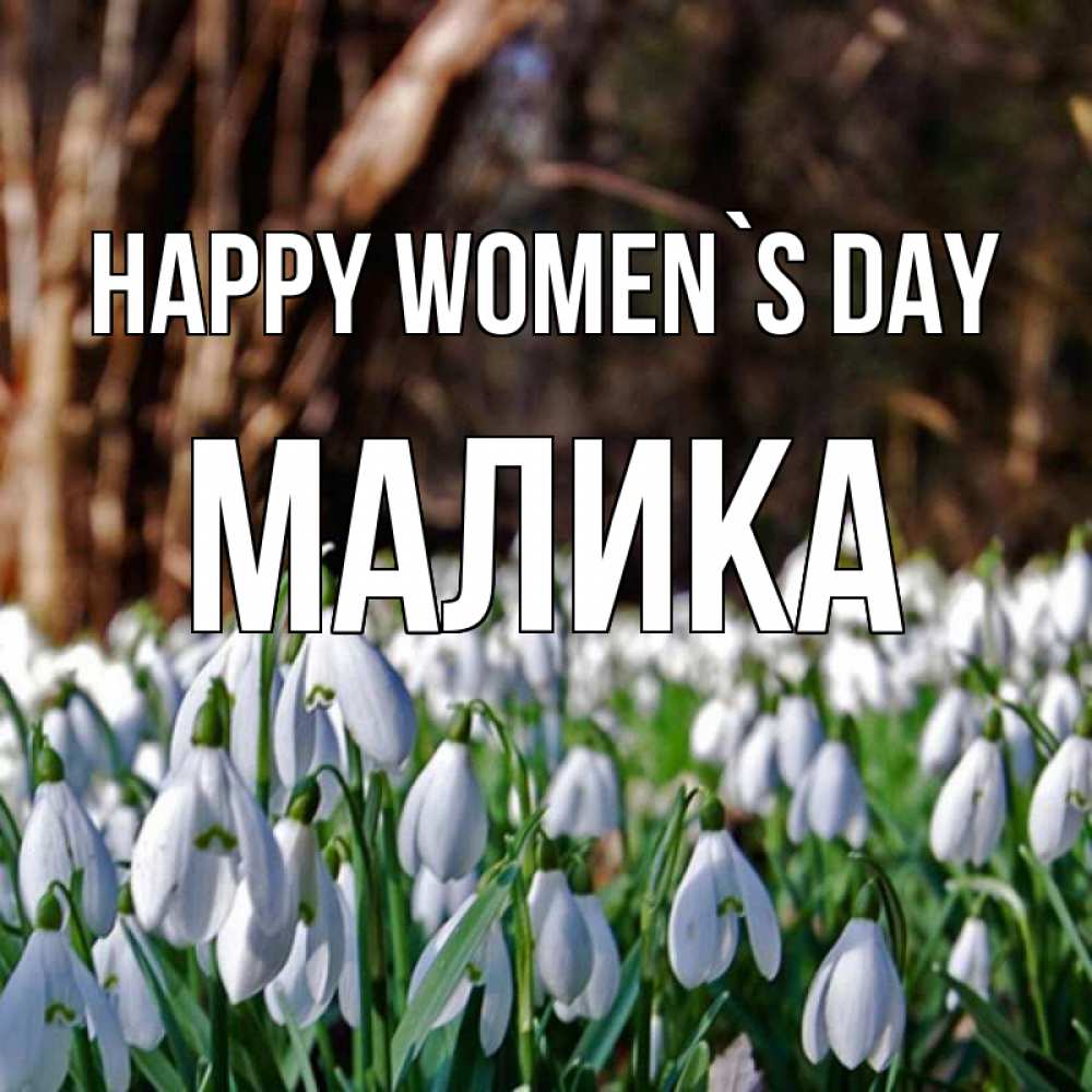 Greetings card с именем, Малика happy women`s day с подснежниками 1 Greetings with text for free download 